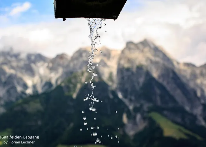 Kuckuck By We Rent, Saalfelden Card Included 레오강