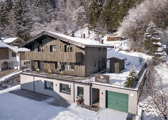公寓 Kuckuck By We Rent, Saalfelden Card Included 莱奥冈